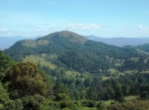 Refugio de Vida Silvestre Samama Mumbes